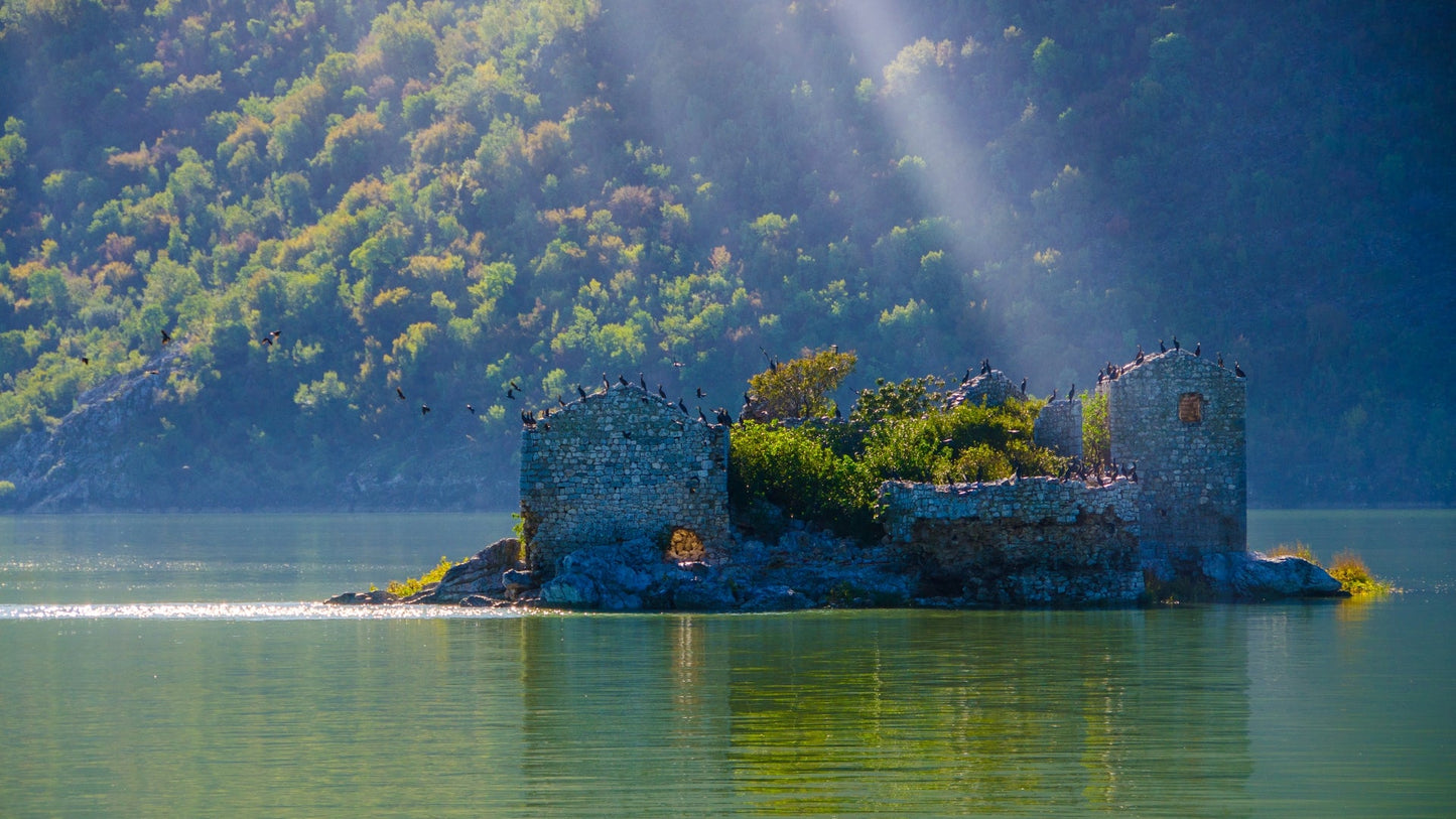 skadar-lake-castle-with-birds-montenegro-skadarsko-jezero